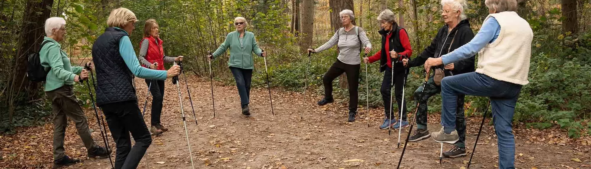 fit for life nordic walking