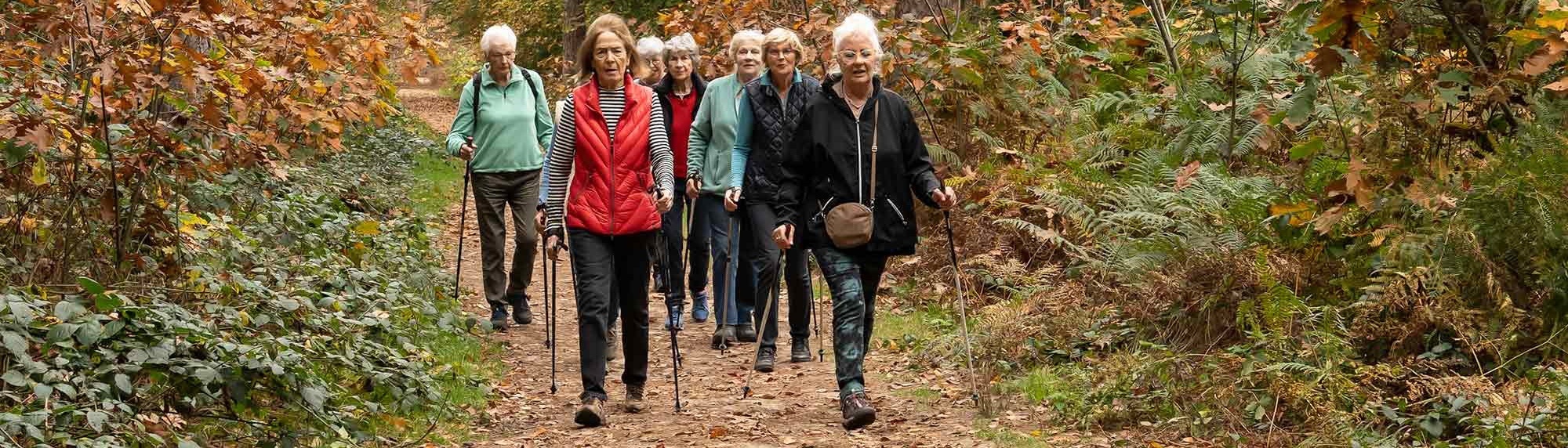 Stichting WIJ - Fit for Life Nordic Walking
